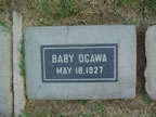 OGAWA_Baby.jpg (86kb)