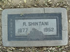 SHINTANI_R.jpg (82kb)