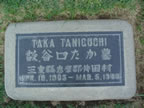 TANIGUCHI_Taka.jpg (81kb)